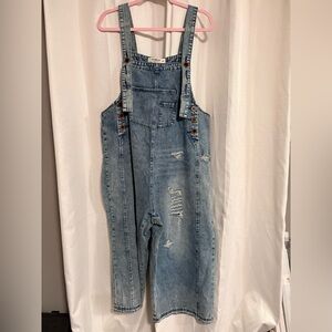 Three Bird Nest High Hopes Slouchy Denim Overalls